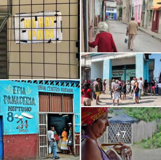 ancianos desesperados en filas infinitas, ¿quién está detrás de esta tragedia?