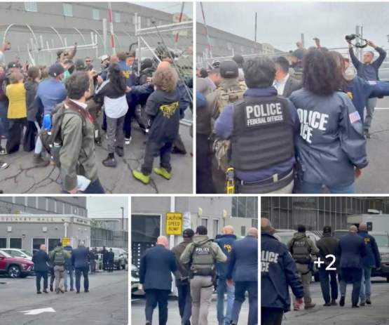 El alcalde de Newark en problemas: Arrestado por intentar irrumpir en centro de detención de ICE y desafiar la ley. ¿Qué viene después?