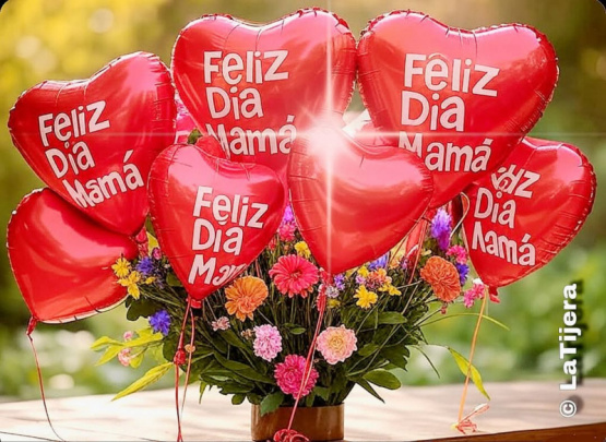 Celebra a las Madres: Historias de Amor, Coraje y los Retos que Enfrentan en la Sociedad Actual