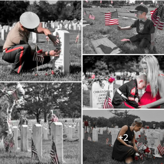 Recuerda a los héroes: el legado de sacrificio y libertad en el Memorial Day de EE.UU.