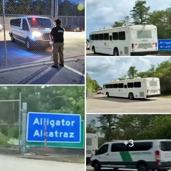 ¡ALERTA INMIGRACIÓN! Descubre la Tenebrosa 