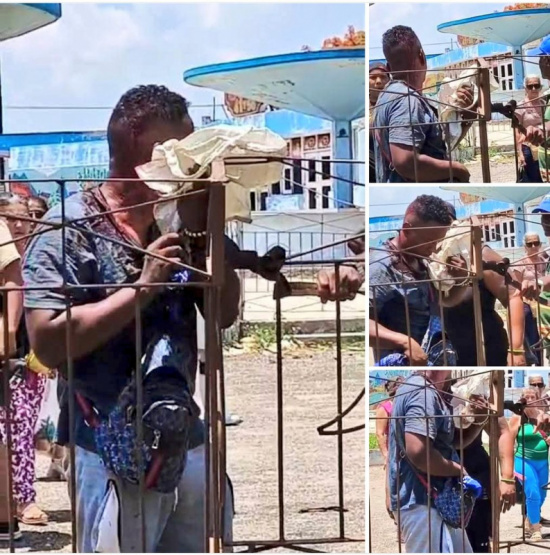 Transeúntes hacen justicia: capturan a ladrón en La Habana tras intento de robo ¡Increíble!