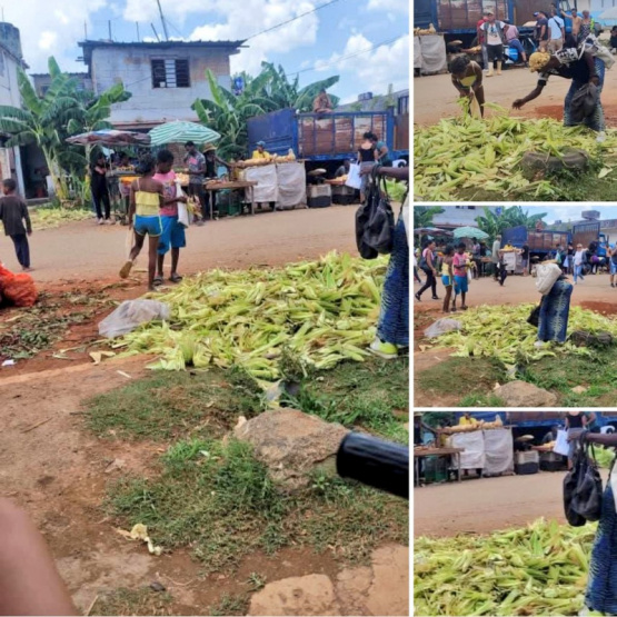 Crisis Alimentaria en Cuba: La Feria Agropecuaria se Convierte en un Suplicio por la Misera y el Hambre