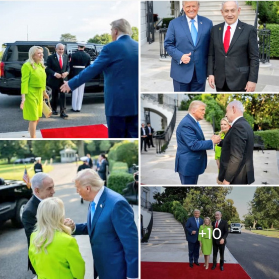 ¿Lograrán Netanyahu y Trump la Paz en Medio de la Tensión en Gaza?