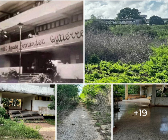El legado del Castrismo que hiere al exilio cubano - ¡Comparte tu historia!