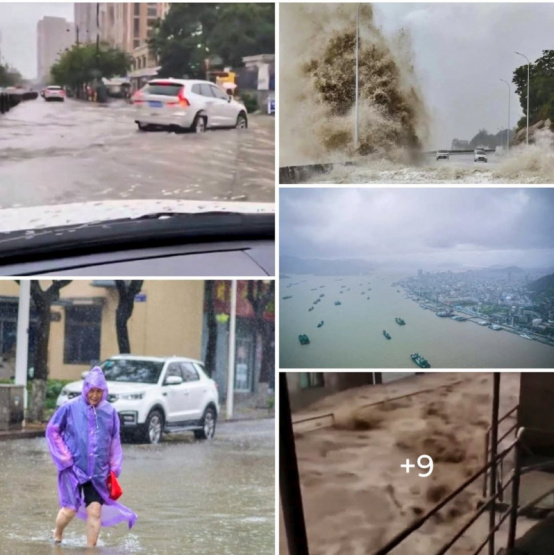 China en crisis: más de 230,000 evacuados por el tifón Co-May y alerta de tsunami en Shanghai