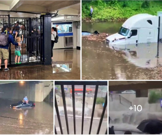 Inundaciones en Nueva York: El Caos que Dejó la Tormenta y sus Consecuencias Para la Salud Pública