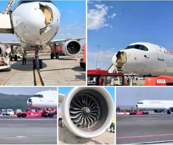 Vuelo de Iberia sufre aterrizaje de emergencia tras impactar un ave gigante: ¡Descubre cómo evitaron una tragedia!