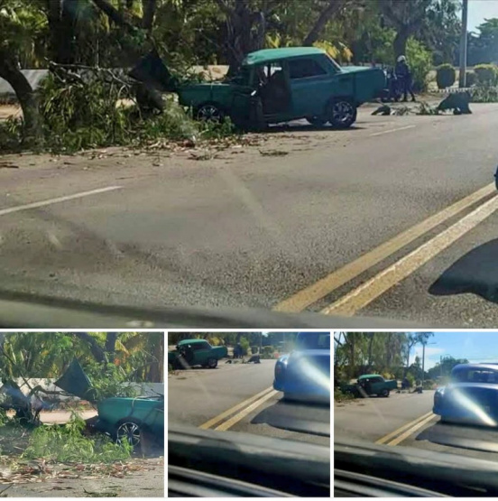 ¡Impactante choque en Alamar! Un auto clásico se estrella contra un árbol en la noche y milagrosamente no hay heridos. ¡Entérate de todos los detalles!