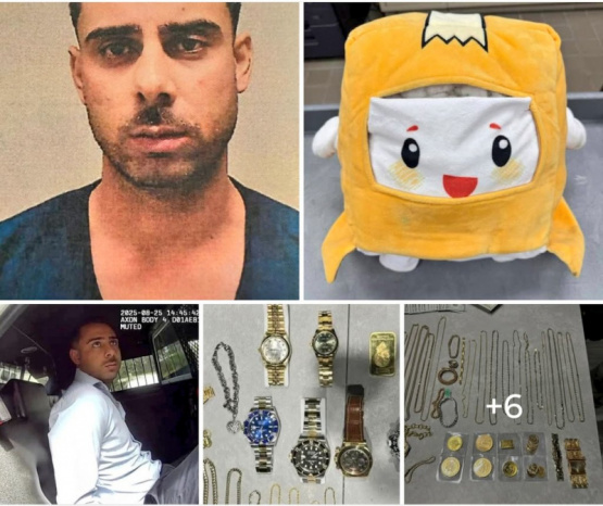 Arrestan a inmigrante indocumentado en Florida tras un millonario robo de joyas oculto en un peluche: ¡La sorprendente conexión familiar que desata la alarma del crimen organizado!