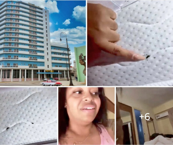 ¡Pesadilla en el paraíso! Pareja cubana huye de hotel infestado de chinches y revela la cruda realidad del turismo en Cuba.