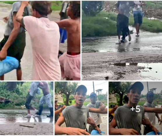 Los vecinos de Reparto Bahía atrapan a un asaltante: ¿La comunidad es la clave para la seguridad en Habana del Este?