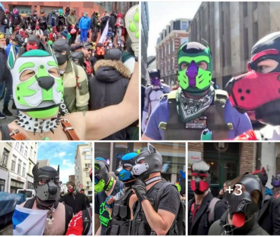¿Liberación o Locura? El Inusual Evento que Revoluciona la Identidad en Bélgica