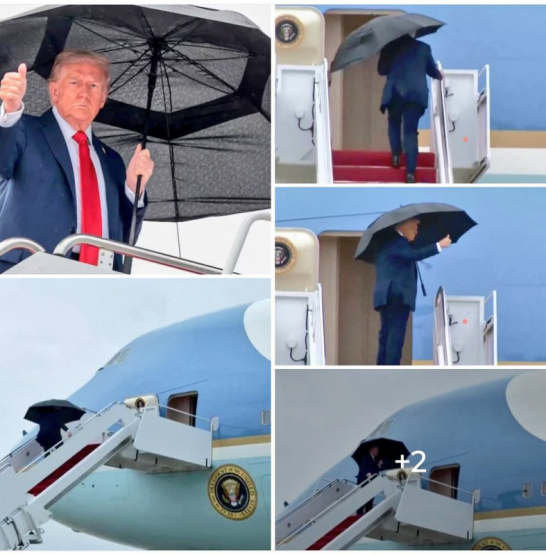Trump viaja al Medio Oriente: ¡¿será esta la oportunidad histórica para lograr la paz entre Israel y Palestina?!