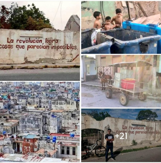 Los 