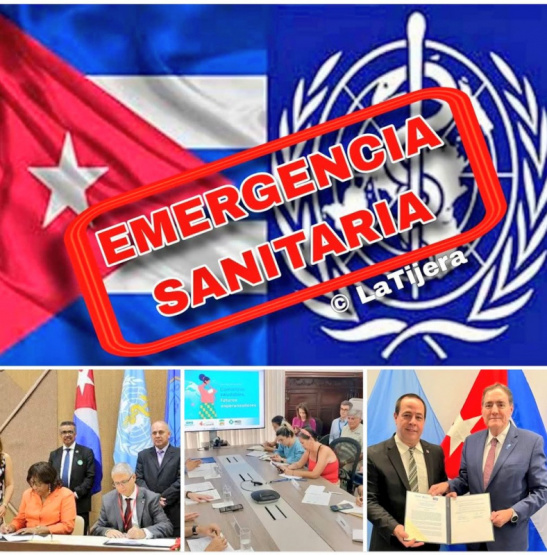 ¿Silencio Cómplice de la OMS ante un Pueblo que Sufre?