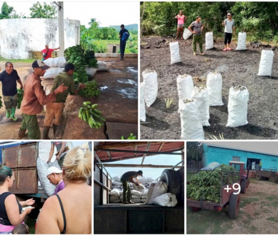 ¿plátanos y carbón para enfrentar el huracán Melissa? Descubre la dura realidad tras la propaganda oficial.