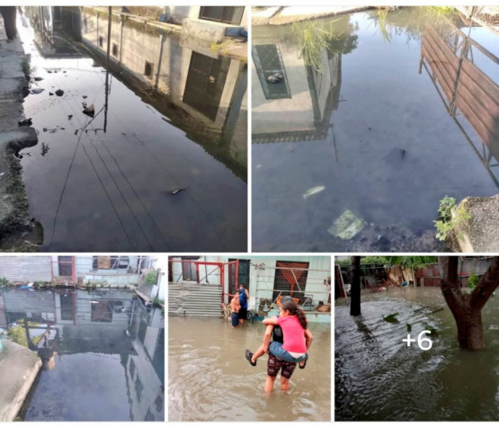 Crisis Sanitaria en El Cerro: Vecinos Claman por Ayuda Ante Epidemias de Dengue y Chikungunya
