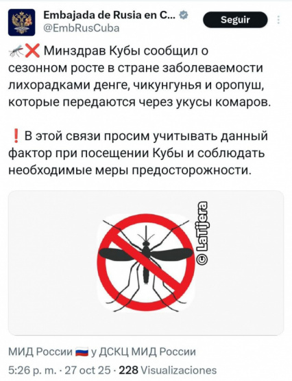 EL DENGUE SE DISPARA Y LA EMBAJADA RUSA ADVIERTE A TURISTAS ¡DESCUBRE CÓMO PROTEGERTE!