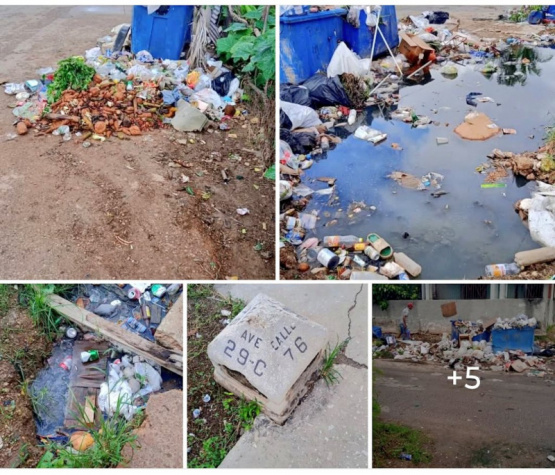 La Habana: La basuraleza revela la verdadera cara del régimen castrista y el espectáculo de su fracaso absoluto.