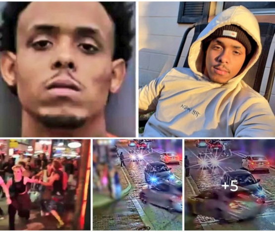 TRAGEDIA EN TAMPA: CUATRO MUERTOS Y MAS DE UNA DOCENA DE HERIDOS EN ESCALOFRIANTE ACCIDENTE POLICIAL