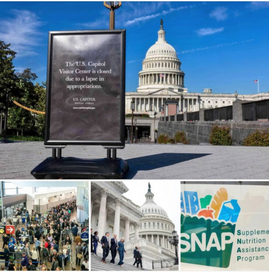 Crisis en EE.UU.: ¿Cómo el caos en los aeropuertos y la falta de salarios impactará a Argentina en Acción de Gracias?