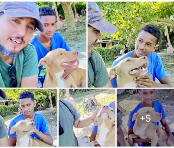 Yoni, el perrito que sobrevivió al abandono, se reúne con su dueño y conmueve a toda Cuba: ¡la historia de amor que no te puedes perder!