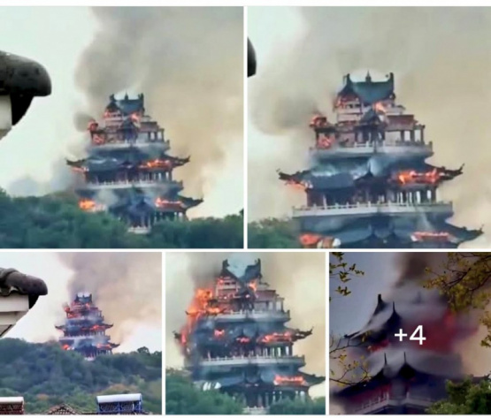 Incendio Devastador en el Templo Yongqing: ¿El Fin de un Patrimonio Cultural Milenario?