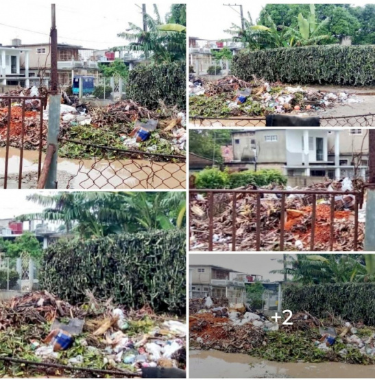 Crisis Sanitaria en Holguín: Un Vertedero Ilegal Amenaza Vidas mientras Aumenta el Dengue, ¿Qué Hacen las Autoridades?