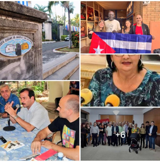 Los tentáculos del castrismo en España: la nueva Red Avispa que infiltra más de 50 asociaciones culturales al descubierto