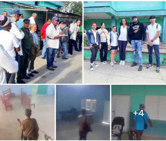 ¿Quién es el Responsable de Esta Negligencia?