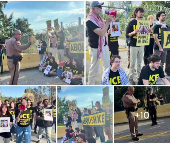 ¿Descontento genuino o manipulación externa? ¡Descubre la verdad detrás de los 31 arrestos!